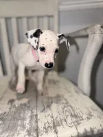 processed/54eb494f-df39-4be2-81d0-518c1325042f/listing/384e7e7f-fee1-4666-a8ad-cf9cbc2bbefe/bd89cb9e-0284-4f3e-8cb2-8564821c8798