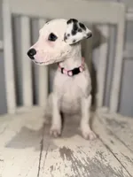 processed/54eb494f-df39-4be2-81d0-518c1325042f/listing/384e7e7f-fee1-4666-a8ad-cf9cbc2bbefe/f4dec8a2-9a62-4ac3-93c8-ef345206b423