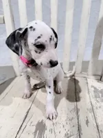 processed/54eb494f-df39-4be2-81d0-518c1325042f/listing/4fc4609e-af42-4849-ab71-cd0348245bad/25aaa1ef-1136-4e51-9d77-6187c0521d9b