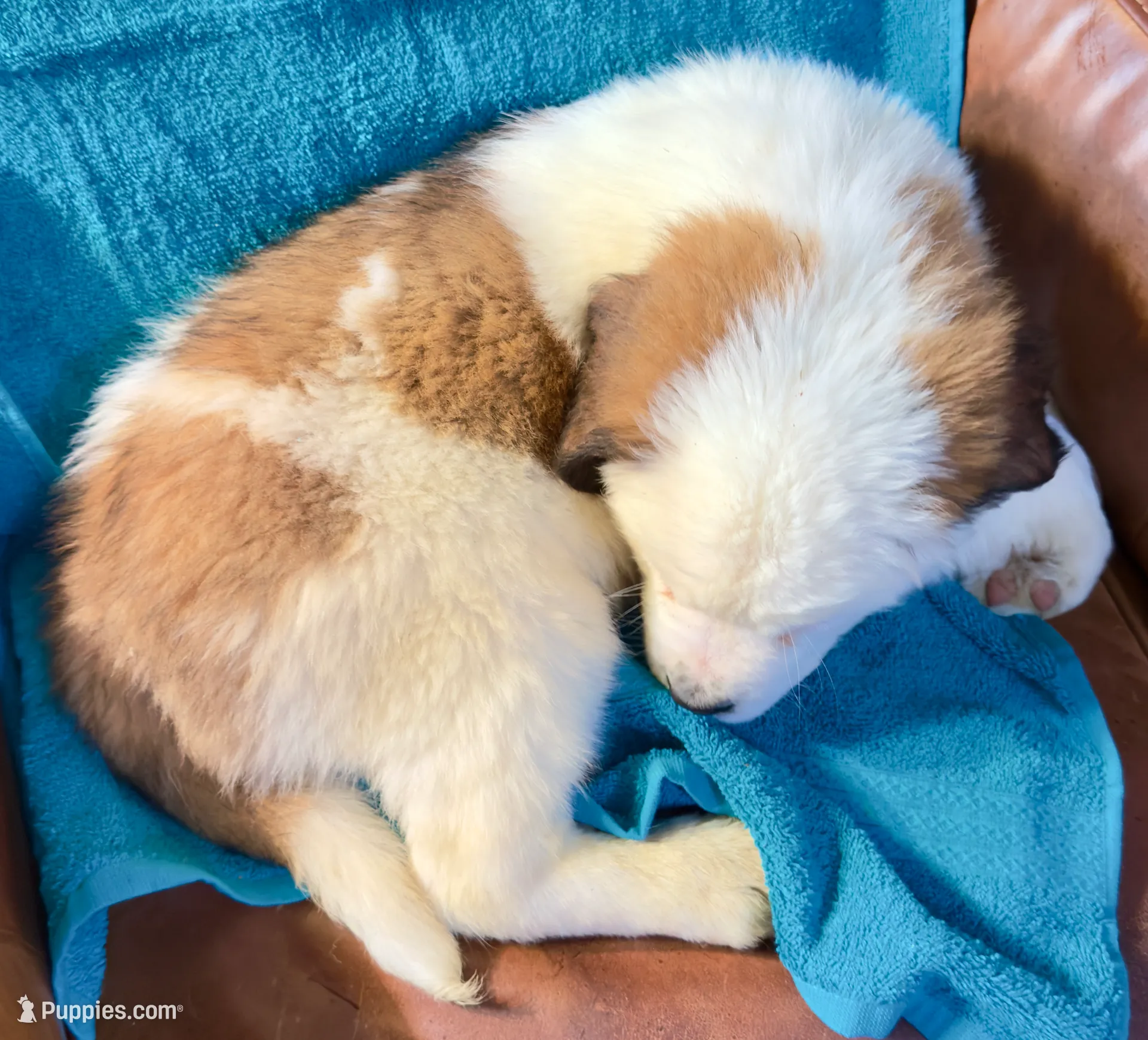 processed/54eba3fd-a66a-4e69-87a1-4cc8e137c97b/listing/10d3f30b-eaae-4487-af83-5e8f1c32006d/5e8153fa-3cd8-4310-866e-f07281992ba8