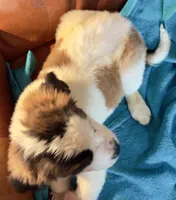 processed/54eba3fd-a66a-4e69-87a1-4cc8e137c97b/listing/2302f52d-de27-4161-8699-ec2c060096f3/0c1134b8-c374-4786-8933-d282c4269e2f