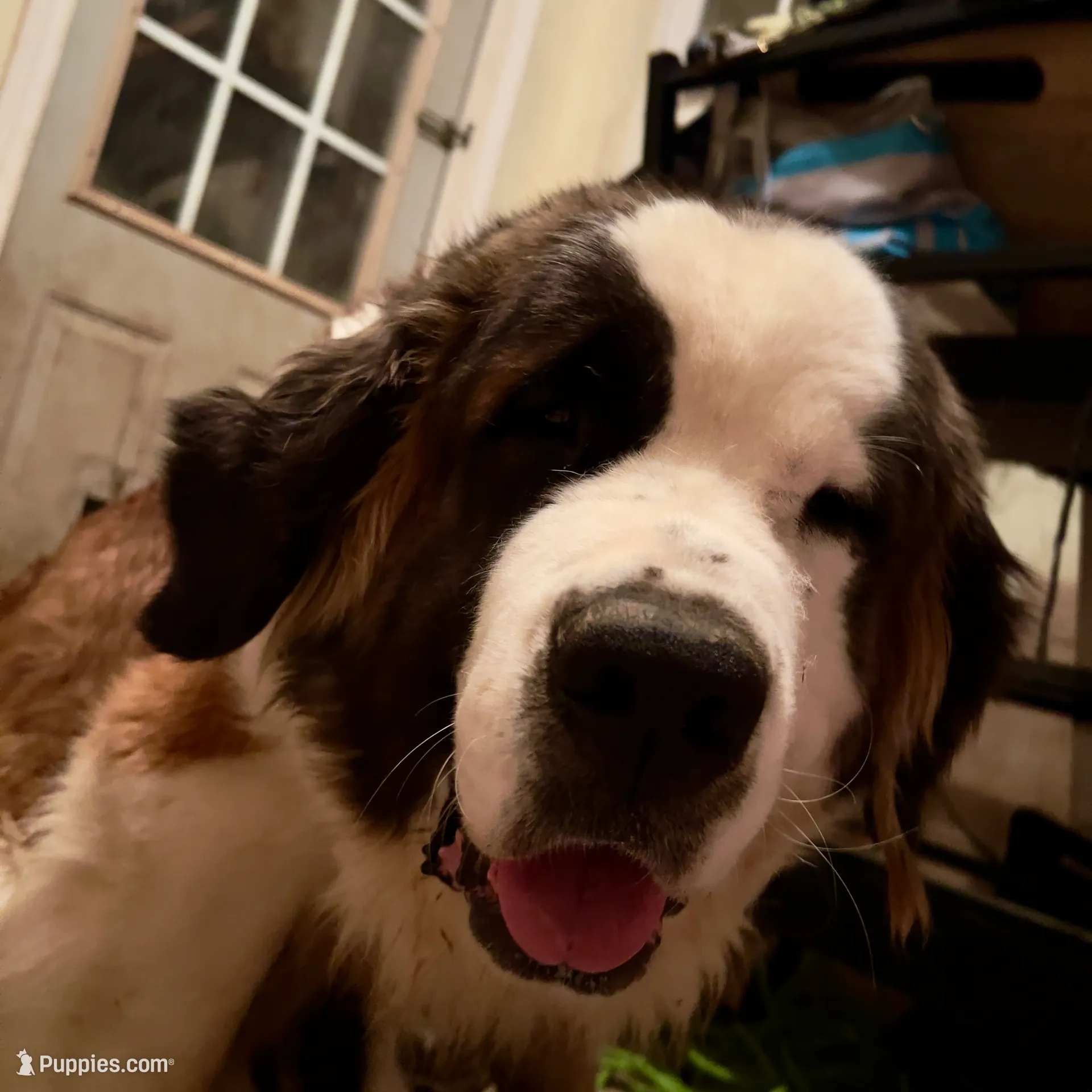 processed/54eba3fd-a66a-4e69-87a1-4cc8e137c97b/listing/2302f52d-de27-4161-8699-ec2c060096f3/62a7e0f0-c7a5-4ab8-9a22-2fef64fc2ba6