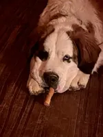 processed/54eba3fd-a66a-4e69-87a1-4cc8e137c97b/listing/276cc8da-ffc2-4e3e-960b-726ebcf5a737/c853a537-6740-42d1-b1a8-3557ad377b0b