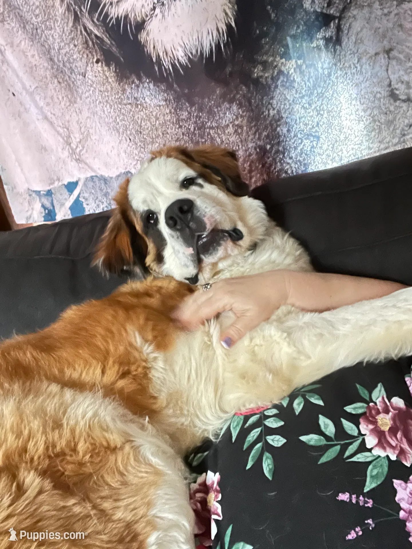 processed/54eba3fd-a66a-4e69-87a1-4cc8e137c97b/listing/276cc8da-ffc2-4e3e-960b-726ebcf5a737/cbe2da04-3450-411c-b2d8-a85a766db542