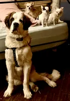 processed/54eba3fd-a66a-4e69-87a1-4cc8e137c97b/listing/3329db89-d55a-4b75-826e-b0ed647bd6c4/2551a4e2-13b4-4919-93d5-2df3a7887a72