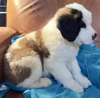 processed/54eba3fd-a66a-4e69-87a1-4cc8e137c97b/listing/3329db89-d55a-4b75-826e-b0ed647bd6c4/4b7dbc1e-2b7a-46ca-9769-671da9d66736