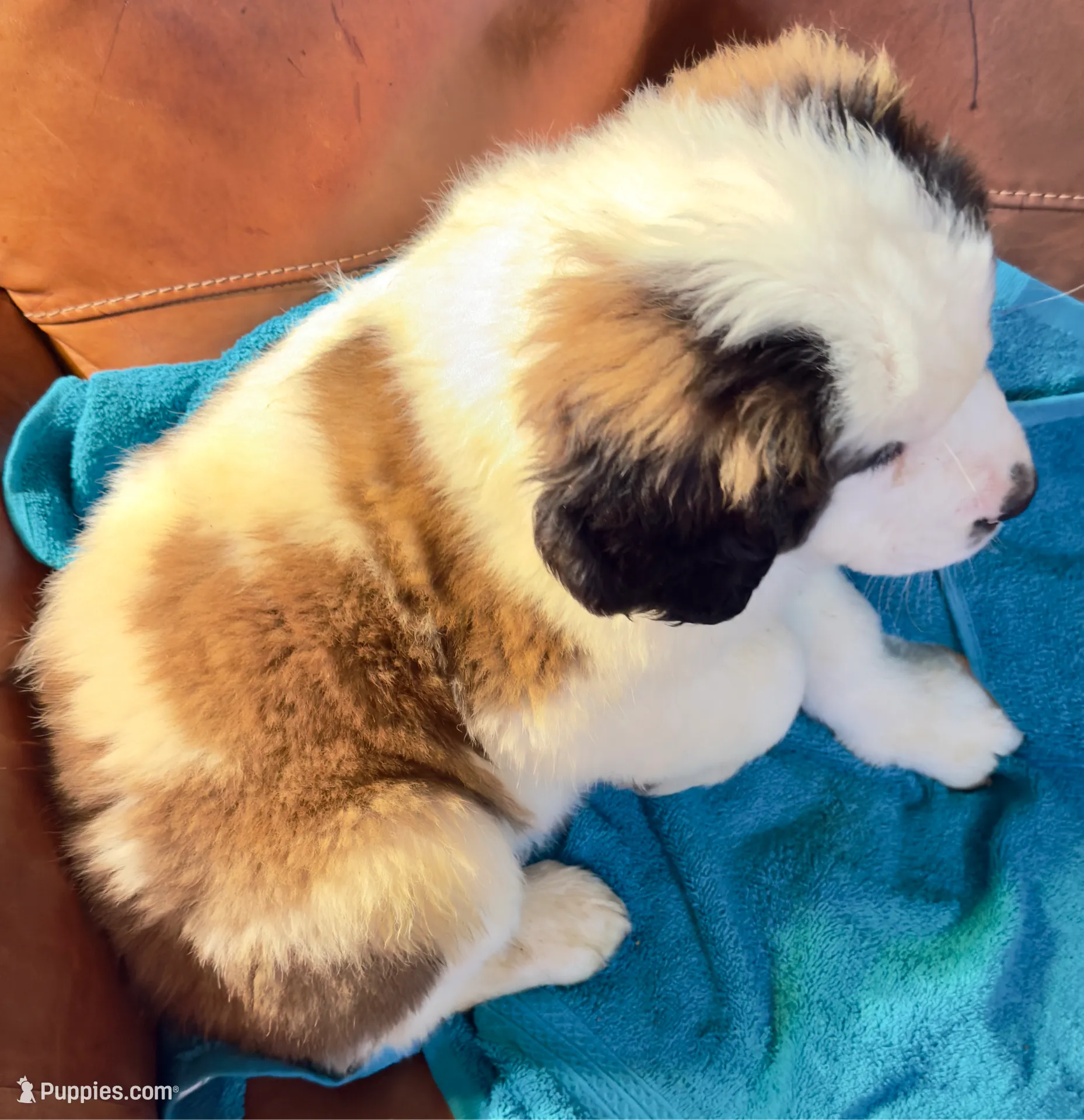 processed/54eba3fd-a66a-4e69-87a1-4cc8e137c97b/listing/3329db89-d55a-4b75-826e-b0ed647bd6c4/6ed1c657-ffe4-4c03-b197-d3b17d23cf4f