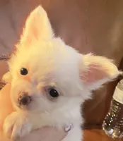 processed/54eba3fd-a66a-4e69-87a1-4cc8e137c97b/listing/49942548-0bea-49b6-8c08-8b7bde9a56b8/3ff35c51-fbb0-40e5-be13-e4568834e27c