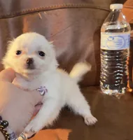 processed/54eba3fd-a66a-4e69-87a1-4cc8e137c97b/listing/49942548-0bea-49b6-8c08-8b7bde9a56b8/ac9a3bfb-d698-470f-8d4e-330e3adbab09