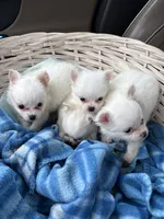 processed/54eba3fd-a66a-4e69-87a1-4cc8e137c97b/listing/49942548-0bea-49b6-8c08-8b7bde9a56b8/f7ccc192-8e60-464f-9da5-9216d6354bf6