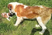 processed/54eba3fd-a66a-4e69-87a1-4cc8e137c97b/listing/75889fb6-20af-454f-9d94-77a612878ed6/2f6b6f1a-3ad2-49de-a0c2-5d7ad1b1c9b4