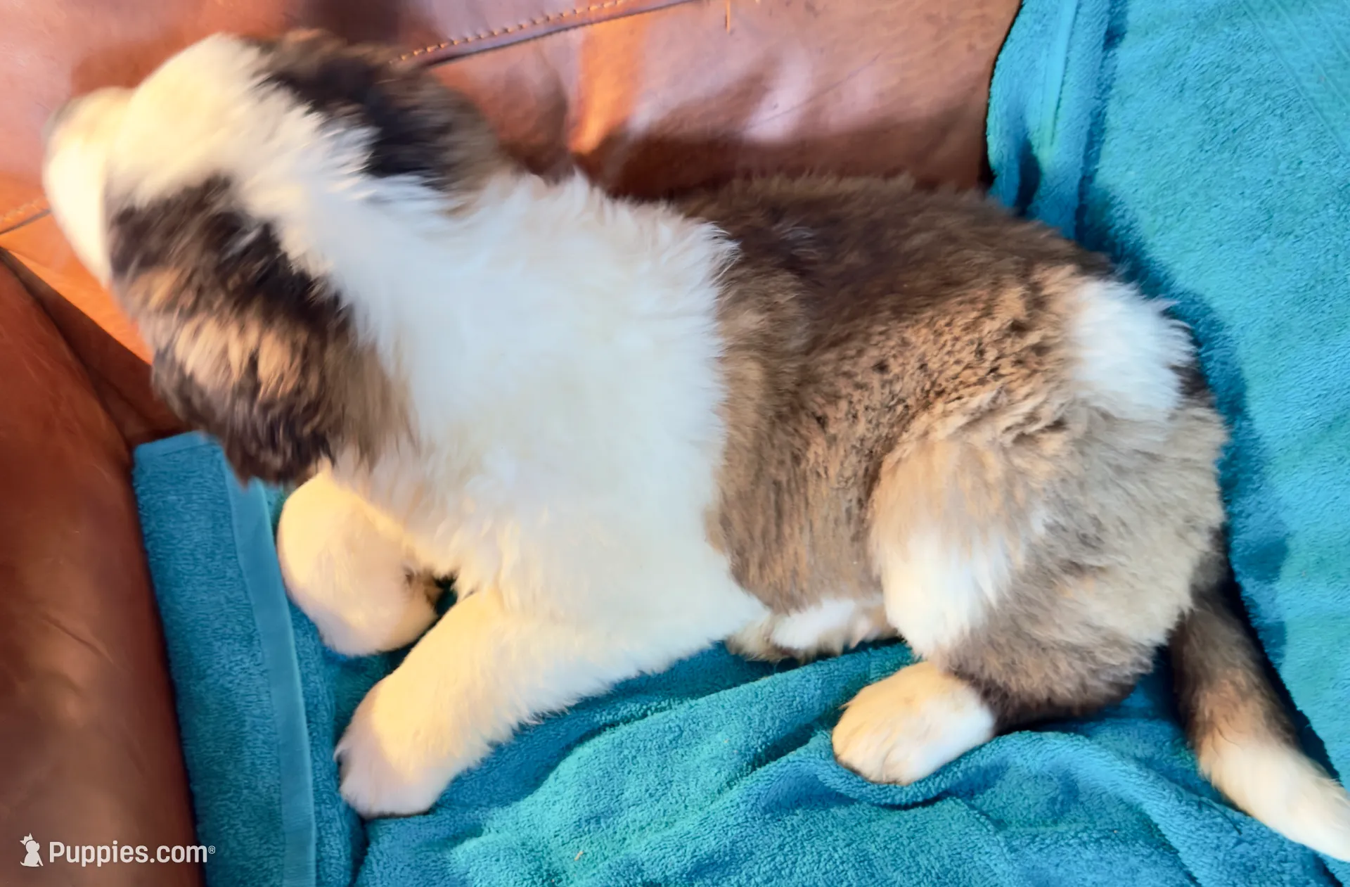 processed/54eba3fd-a66a-4e69-87a1-4cc8e137c97b/listing/75889fb6-20af-454f-9d94-77a612878ed6/6bfd63cc-32bf-4940-acec-7d946e40d2d8