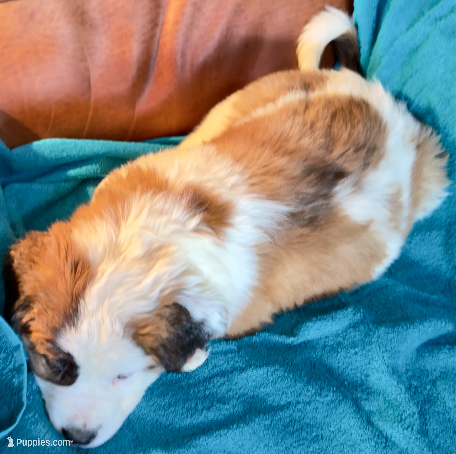 processed/54eba3fd-a66a-4e69-87a1-4cc8e137c97b/listing/8867d7be-bcf8-46e6-9e62-c16b85687f88/10b555df-6846-4a34-b8e3-93ad46a16554