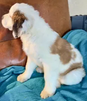 processed/54eba3fd-a66a-4e69-87a1-4cc8e137c97b/listing/8867d7be-bcf8-46e6-9e62-c16b85687f88/fc6745f9-815f-4f74-ac9b-8bb32226f462