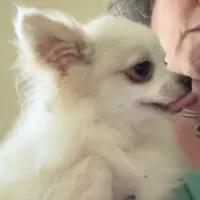 processed/54eba3fd-a66a-4e69-87a1-4cc8e137c97b/listing/955fc0e0-56c2-454b-b20c-471529a7857b/1ef36303-04d7-4608-9e1e-aa92fb070837