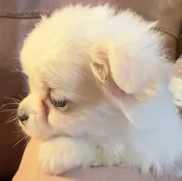 processed/54eba3fd-a66a-4e69-87a1-4cc8e137c97b/listing/955fc0e0-56c2-454b-b20c-471529a7857b/7072d6e1-3be9-4941-91f3-a9e4bec49168