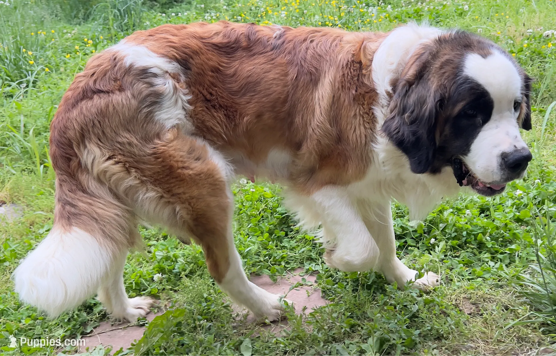 processed/54eba3fd-a66a-4e69-87a1-4cc8e137c97b/listing/99d4f786-92d9-40b1-bb75-d7e054bba7bd/39c3de9d-8f99-446e-85c0-8ea1ec9f8cc1