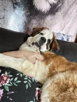 processed/54eba3fd-a66a-4e69-87a1-4cc8e137c97b/listing/99d4f786-92d9-40b1-bb75-d7e054bba7bd/4ae0e293-4921-4b4c-b506-3a193b7dfb76