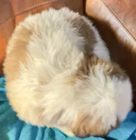 processed/54eba3fd-a66a-4e69-87a1-4cc8e137c97b/listing/99d4f786-92d9-40b1-bb75-d7e054bba7bd/b993e214-362e-441f-a721-3d00cd475c26