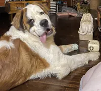 processed/54eba3fd-a66a-4e69-87a1-4cc8e137c97b/listing/99d4f786-92d9-40b1-bb75-d7e054bba7bd/f0879955-86dc-4d69-8e77-204054a3c8a4