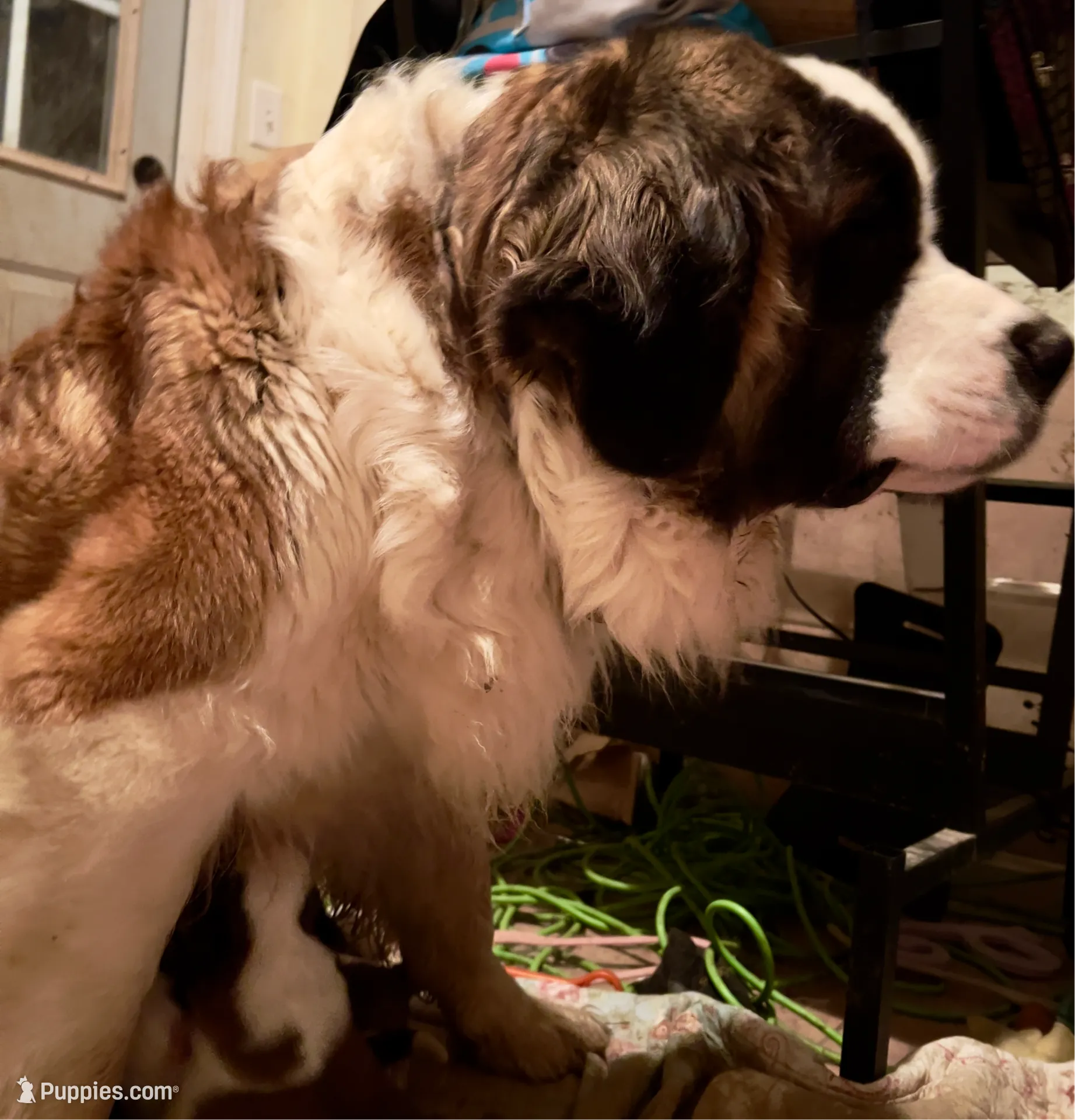 processed/54eba3fd-a66a-4e69-87a1-4cc8e137c97b/listing/f6a00dd7-435a-4349-aaa7-2808ff657a44/9534e586-96b0-4025-a9e5-781d0956e96e