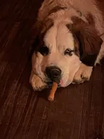 processed/54eba3fd-a66a-4e69-87a1-4cc8e137c97b/listing/f6a00dd7-435a-4349-aaa7-2808ff657a44/bef7626c-5b52-4b5c-a8ef-b99769f044af