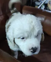 processed/54eba3fd-a66a-4e69-87a1-4cc8e137c97b/listing/f6a00dd7-435a-4349-aaa7-2808ff657a44/d73035d2-6674-4101-9d1c-b4089c57a847