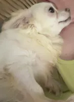 processed/54eba3fd-a66a-4e69-87a1-4cc8e137c97b/listing/f826aac6-ee1b-4063-9e56-3890a37c406e/677d5bec-54b3-41f7-a95b-26c76c388be9