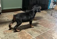 processed/54ff9981-b479-4b3d-a703-6211c39065a8/listing/6a5a1406-713f-46aa-8b12-4120aa0e3db0/018de4e5-0a22-418a-b486-aa7a567be659