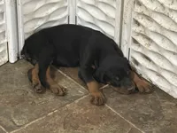 processed/54ff9981-b479-4b3d-a703-6211c39065a8/listing/6a5a1406-713f-46aa-8b12-4120aa0e3db0/c5aede87-400d-4a78-b9eb-0f21d908c601