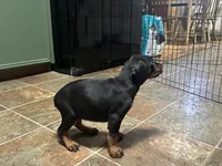 processed/54ff9981-b479-4b3d-a703-6211c39065a8/listing/6a5a1406-713f-46aa-8b12-4120aa0e3db0/dfdbc70f-5ddf-4f8d-8e5f-792bc45c190d