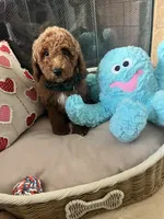 processed/5501a05f-a9cf-450e-b2f3-0d0d272716d8/listing/347047b3-1dc0-4711-b54d-2b97d983e9c0/1fa3efae-bc25-475b-a54e-7f2967a0459b