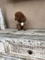 processed/5501a05f-a9cf-450e-b2f3-0d0d272716d8/listing/347047b3-1dc0-4711-b54d-2b97d983e9c0/3817f0cb-7384-4064-85fe-5e2ace8e98bc