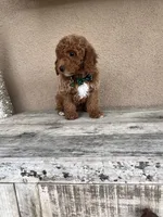 processed/5501a05f-a9cf-450e-b2f3-0d0d272716d8/listing/347047b3-1dc0-4711-b54d-2b97d983e9c0/662ee6db-7ac1-49b8-9b29-b720a3bbf1db