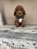 processed/5501a05f-a9cf-450e-b2f3-0d0d272716d8/listing/347047b3-1dc0-4711-b54d-2b97d983e9c0/d1a61c36-33e2-4d8c-ab9f-26251e1ae01d