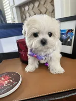 processed/5501a05f-a9cf-450e-b2f3-0d0d272716d8/listing/349fac38-6f78-4120-9365-a7a9c9271220/243e7c26-03fd-48a8-911e-1b858497f89a