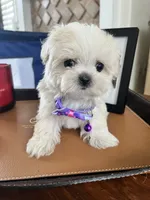 processed/5501a05f-a9cf-450e-b2f3-0d0d272716d8/listing/349fac38-6f78-4120-9365-a7a9c9271220/458eecc5-938e-4ce8-ae75-04e8dfd111e9