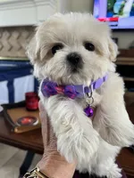 processed/5501a05f-a9cf-450e-b2f3-0d0d272716d8/listing/349fac38-6f78-4120-9365-a7a9c9271220/86f0cb5f-636b-4976-960b-dea64766c54a