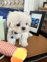 processed/5501a05f-a9cf-450e-b2f3-0d0d272716d8/listing/d6121294-7bbc-4816-8c5b-c2453016898b/17b942ed-71e6-4091-a698-33c40236f4d4