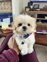 processed/5501a05f-a9cf-450e-b2f3-0d0d272716d8/listing/d6121294-7bbc-4816-8c5b-c2453016898b/1ff6a0ef-24e1-442c-839f-f80da72e485c