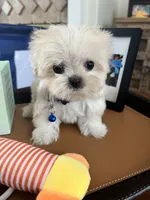 processed/5501a05f-a9cf-450e-b2f3-0d0d272716d8/listing/d6121294-7bbc-4816-8c5b-c2453016898b/20356b1e-3e79-4376-8dd8-7f6ba1483e55