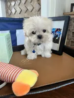 processed/5501a05f-a9cf-450e-b2f3-0d0d272716d8/listing/d6121294-7bbc-4816-8c5b-c2453016898b/5524262e-bd30-459a-a41b-dfca4963fa52