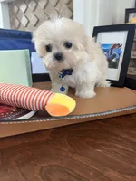 processed/5501a05f-a9cf-450e-b2f3-0d0d272716d8/listing/d6121294-7bbc-4816-8c5b-c2453016898b/a934ed87-5832-438b-a196-7ccf605c810c