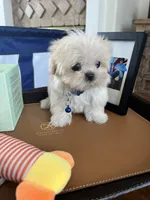 processed/5501a05f-a9cf-450e-b2f3-0d0d272716d8/listing/d6121294-7bbc-4816-8c5b-c2453016898b/acef5472-8da4-4c47-82b4-bb03604c70dd