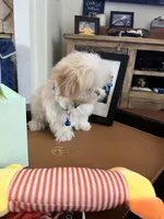 processed/5501a05f-a9cf-450e-b2f3-0d0d272716d8/listing/d6121294-7bbc-4816-8c5b-c2453016898b/b64df69b-04d9-4ec3-8af1-3ac7a9800b6d