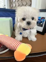 processed/5501a05f-a9cf-450e-b2f3-0d0d272716d8/listing/d6121294-7bbc-4816-8c5b-c2453016898b/bca31518-8508-45e6-9419-8aaacd24cc4e