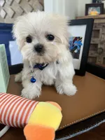 processed/5501a05f-a9cf-450e-b2f3-0d0d272716d8/listing/d6121294-7bbc-4816-8c5b-c2453016898b/ff0a8575-74b7-458d-817b-c6d71dfd9867