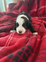 processed/5502005a-6eda-4d92-a224-3180ce6c28ac/listing/2279e985-6cfa-4ad5-b30b-78e7a9125b23/77dc8826-04f7-4863-80fd-5149a0749d14