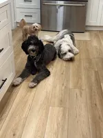 processed/5502005a-6eda-4d92-a224-3180ce6c28ac/listing/2279e985-6cfa-4ad5-b30b-78e7a9125b23/e22b451b-0877-4188-a0c4-ed1864cb7a44