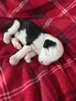 processed/5502005a-6eda-4d92-a224-3180ce6c28ac/listing/28a18507-7886-4a8a-9589-7d35f4403685/d81ad139-67ec-4670-83d7-4b0f77255845